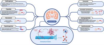 The dual face of microglia (M1/M2) as a potential target in the protective effect of nutraceuticals against neurodegenerative diseases